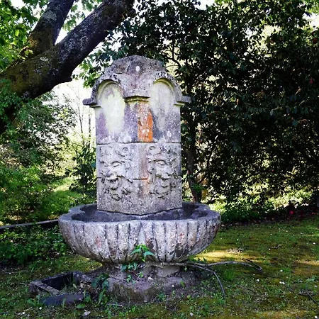 Bucolic And Elegant Townhouse Near Oporto Villa