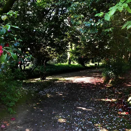 Bucolic And Elegant Townhouse Near Oporto * Santa Maria da Feira
