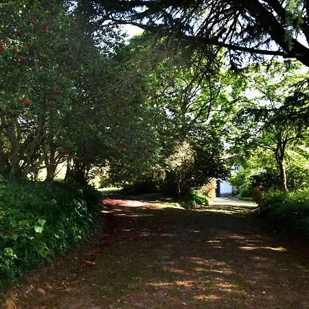 Bucolic And Elegant Townhouse Near Oporto * سانتا ماريا دا فييرا