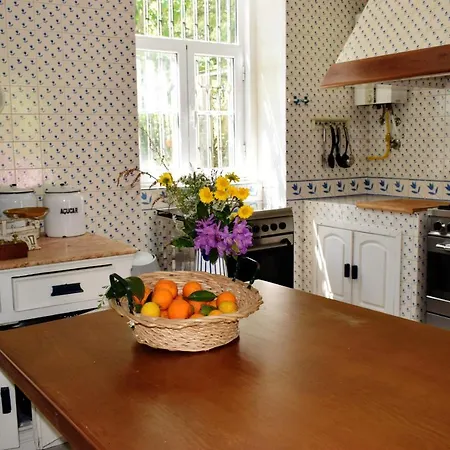 Bucolic And Elegant Townhouse Near Oporto * Santa Maria da Feira