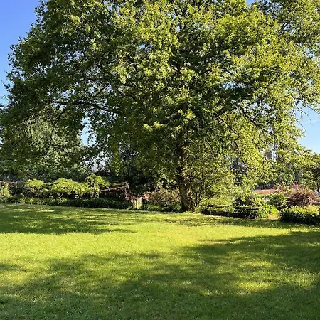 Bucolic And Elegant Townhouse Near Oporto Villa Santa Maria da Feira