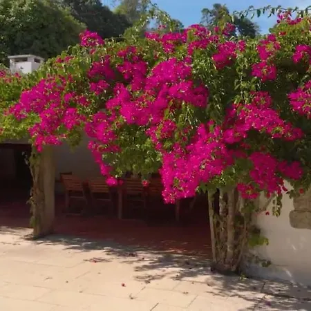 Bucolic And Elegant Townhouse Near Oporto Santa Maria da Feira